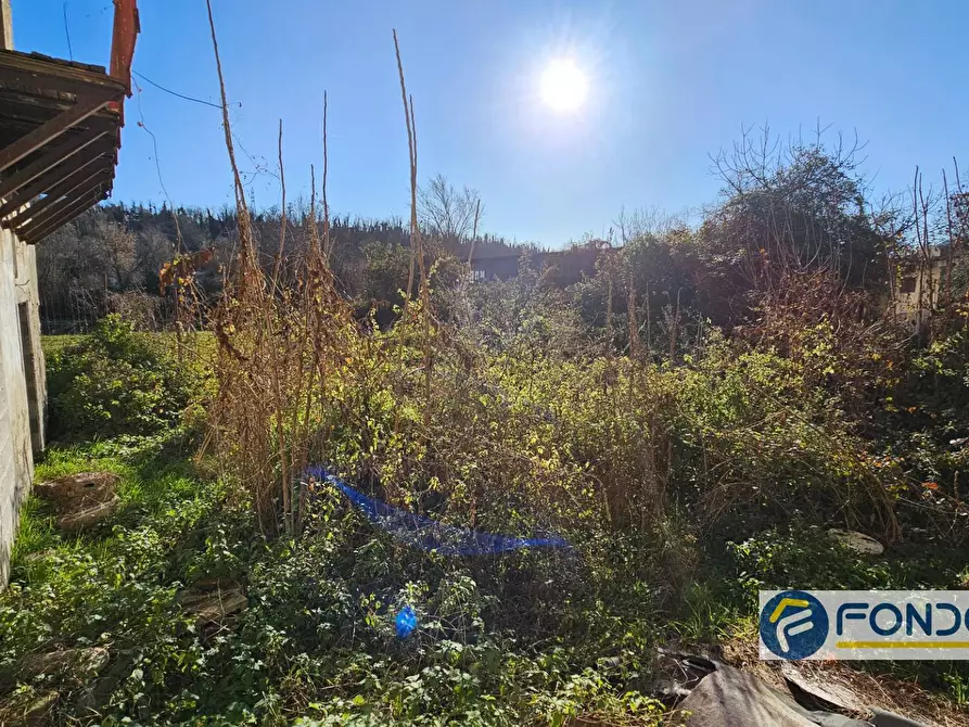 Immagine 6 di Rustico / casale in vendita  a Castelli Calepio