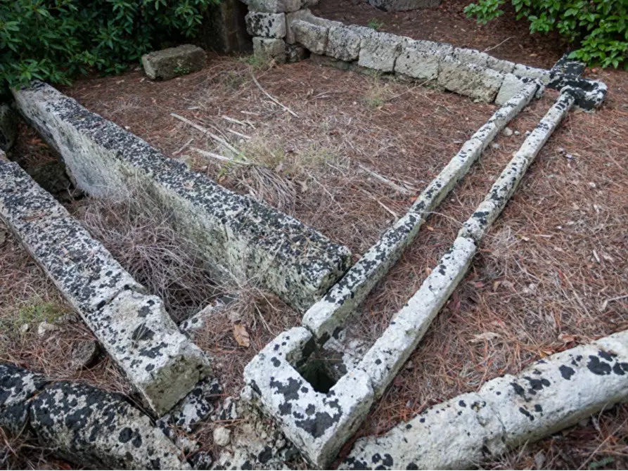 Immagine 10 di Villa in vendita  in via roma a Maruggio