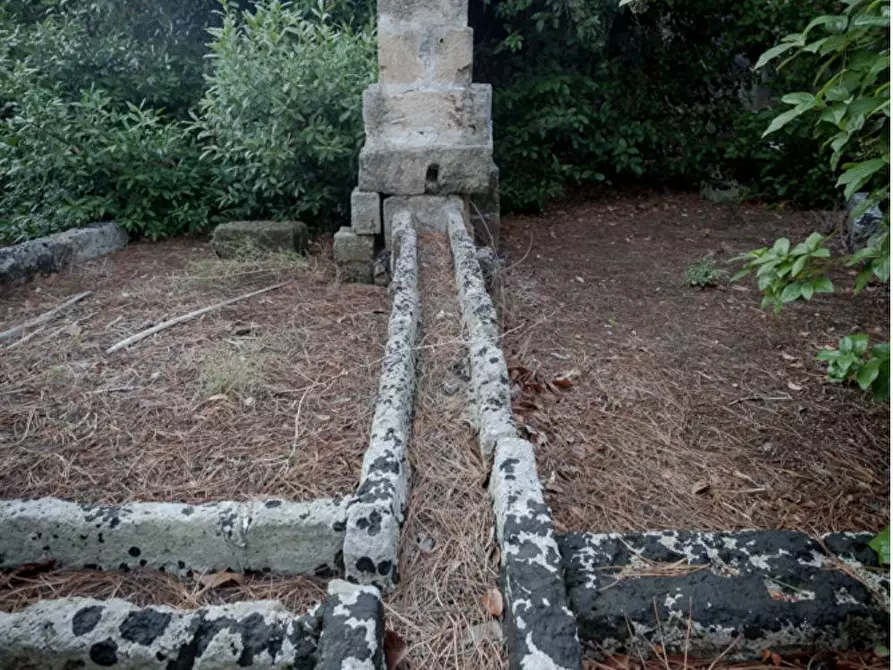 Immagine 11 di Villa in vendita  in via roma a Maruggio