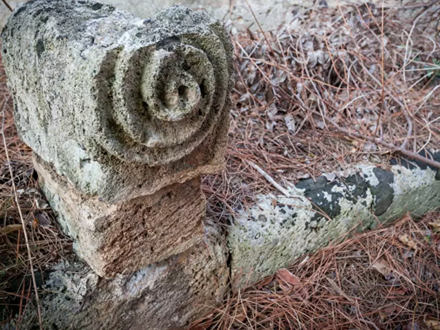 Immagine 12 di Villa in vendita  in via roma a Maruggio