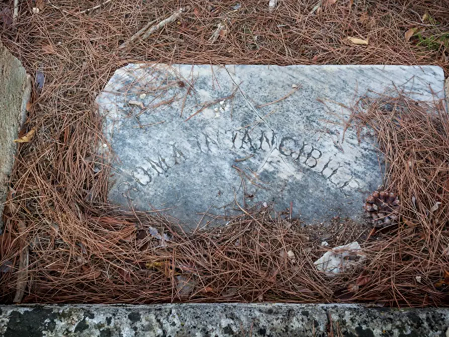 Immagine 13 di Villa in vendita  in via roma a Maruggio