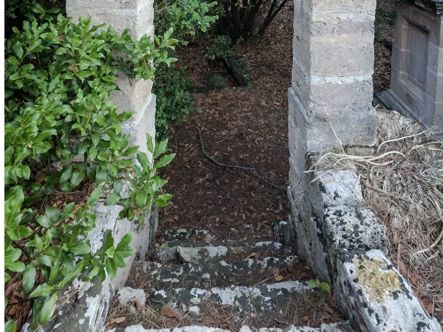 Immagine 15 di Villa in vendita  in via roma a Maruggio