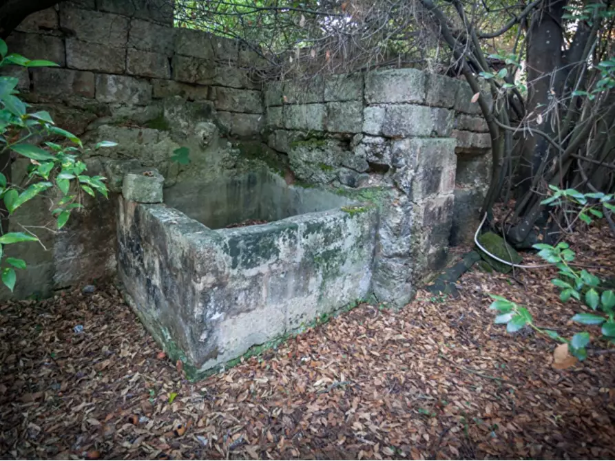 Immagine 17 di Villa in vendita  in via roma a Maruggio