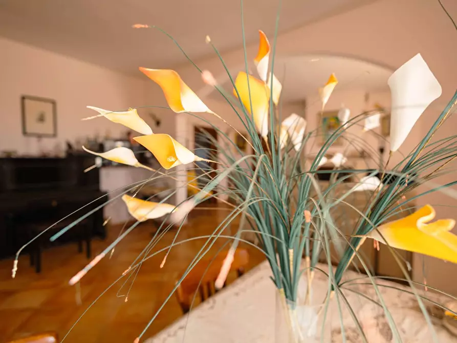 Immagine 9 di Villa in vendita  in s.p. 52 CONTRADA PIANTATA a Sannicola