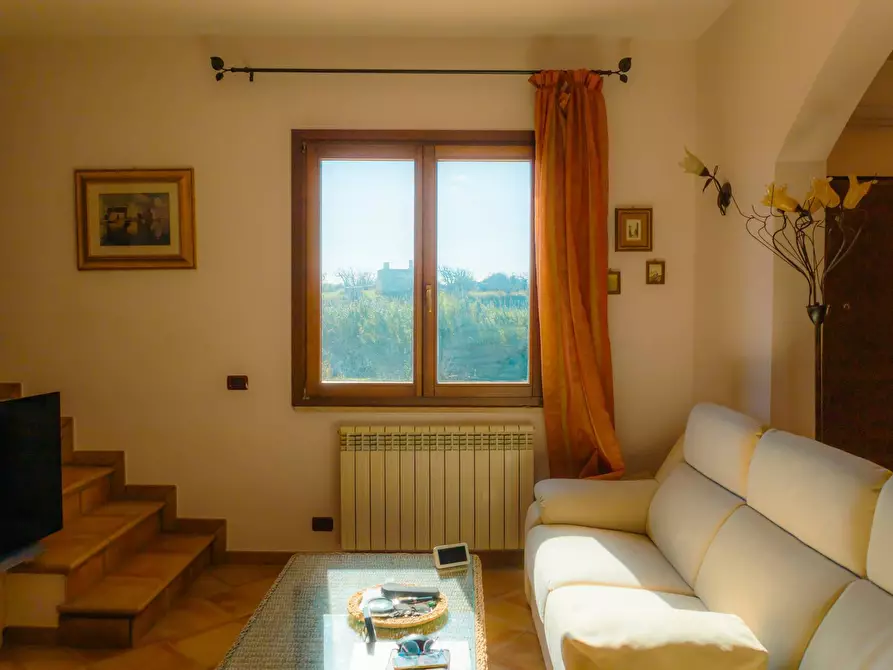 Immagine 10 di Villa in vendita  in s.p. 52 CONTRADA PIANTATA a Sannicola