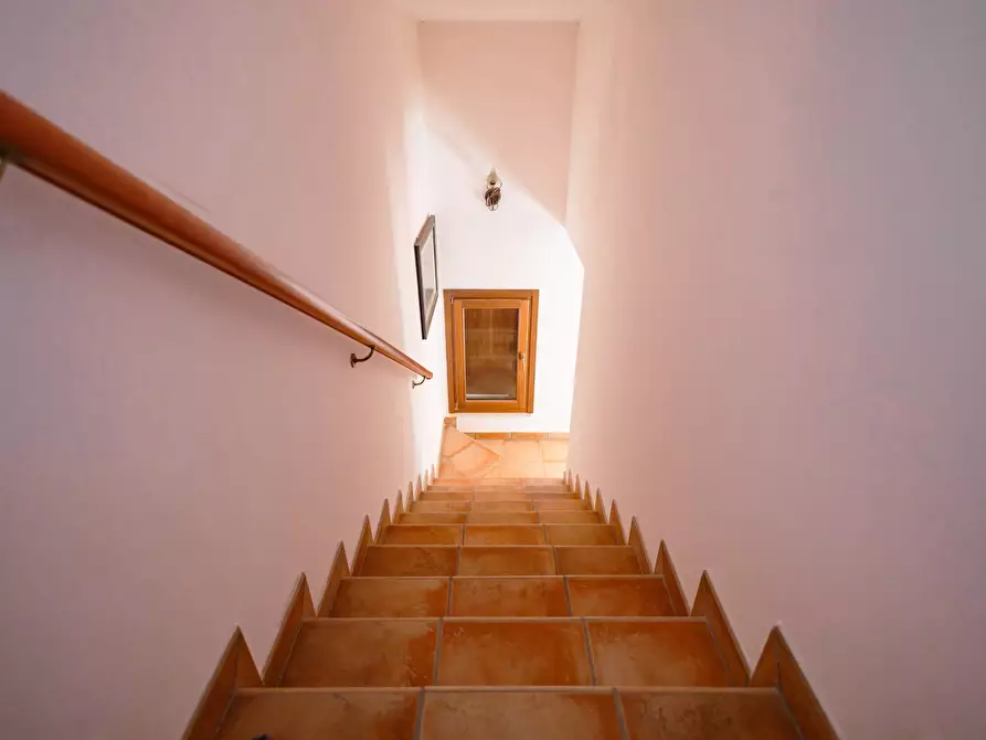 Immagine 15 di Villa in vendita  in s.p. 52 CONTRADA PIANTATA a Sannicola