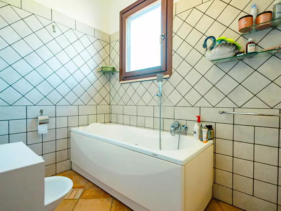 Immagine 19 di Villa in vendita  in s.p. 52 CONTRADA PIANTATA a Sannicola