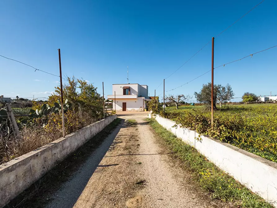 Immagine 21 di Villa in vendita  in s.p. 52 CONTRADA PIANTATA a Sannicola