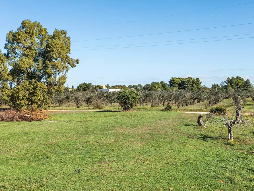 Immagine 25 di Villa in vendita  in s.p. 52 CONTRADA PIANTATA a Sannicola