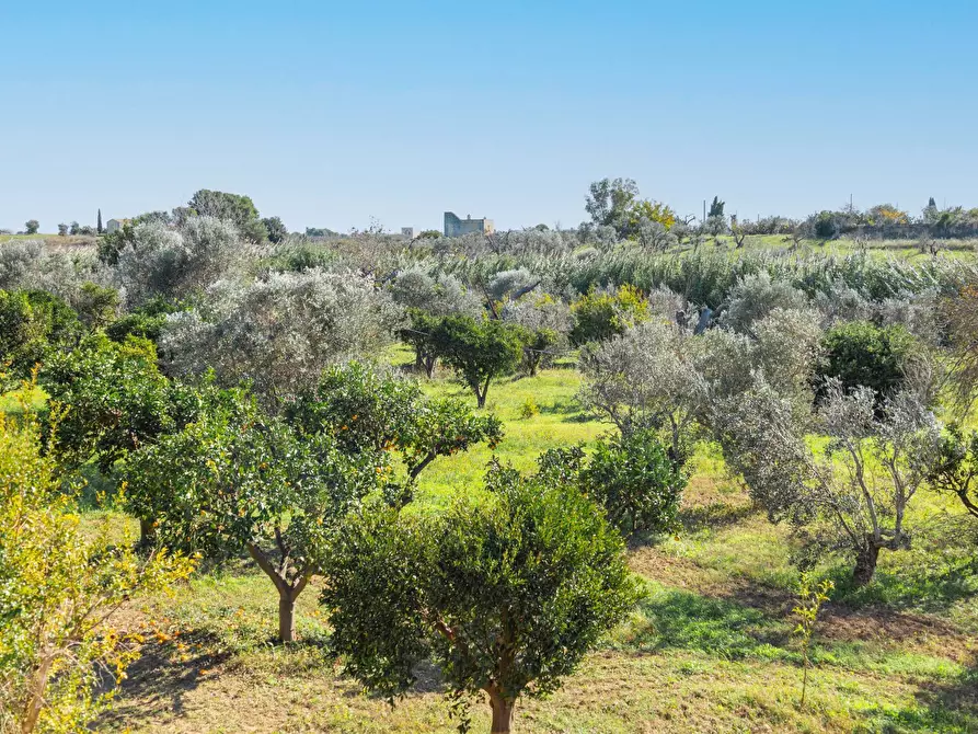 Immagine 26 di Villa in vendita  in s.p. 52 CONTRADA PIANTATA a Sannicola