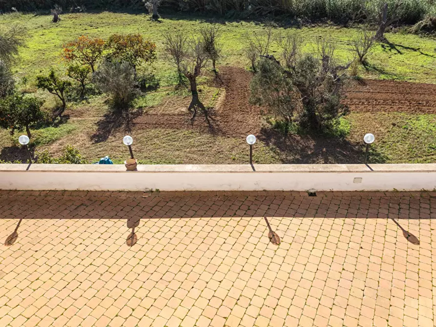 Immagine 27 di Villa in vendita  in s.p. 52 CONTRADA PIANTATA a Sannicola