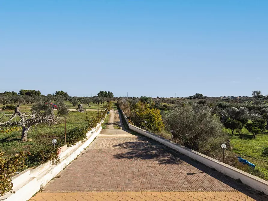 Immagine 28 di Villa in vendita  in s.p. 52 CONTRADA PIANTATA a Sannicola