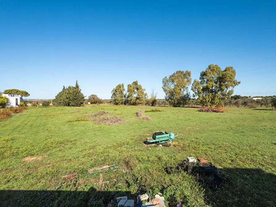 Immagine 29 di Villa in vendita  in s.p. 52 CONTRADA PIANTATA a Sannicola