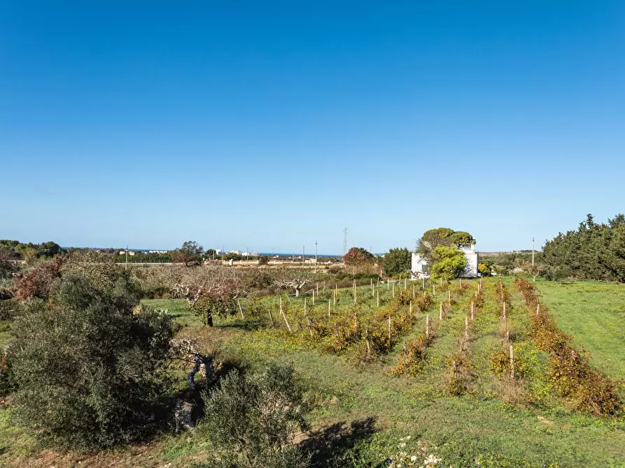 Immagine 30 di Villa in vendita  in s.p. 52 CONTRADA PIANTATA a Sannicola