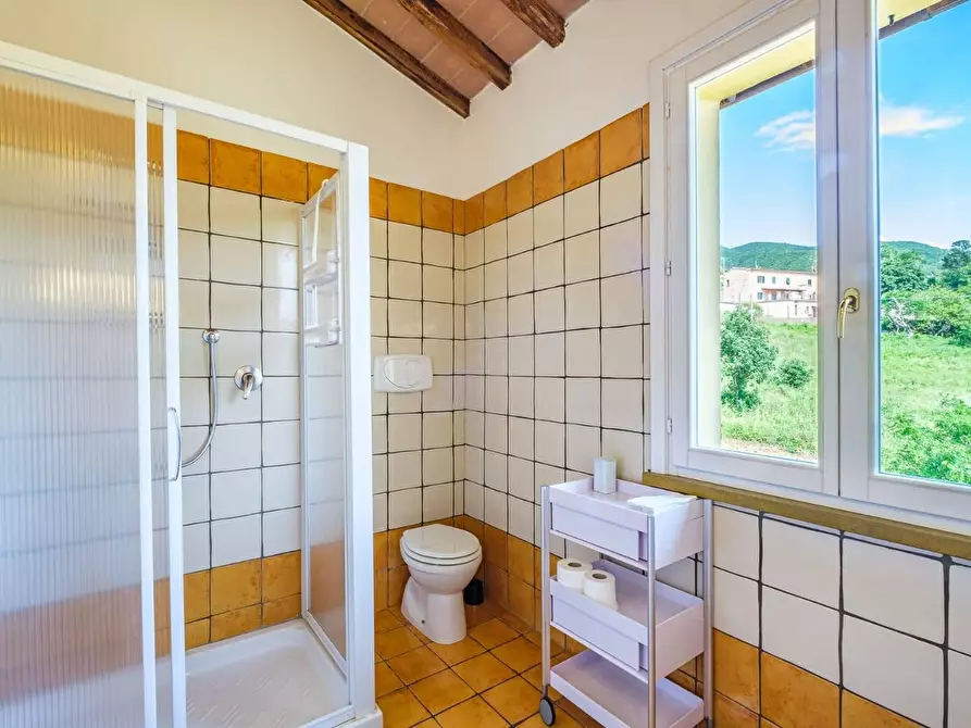 Immagine 30 di Villa in vendita  in VIA ROMA a Castellina Marittima