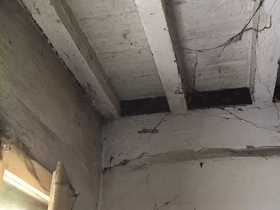 Immagine 23 di Casa indipendente in vendita  in Via Adige a Ravenna