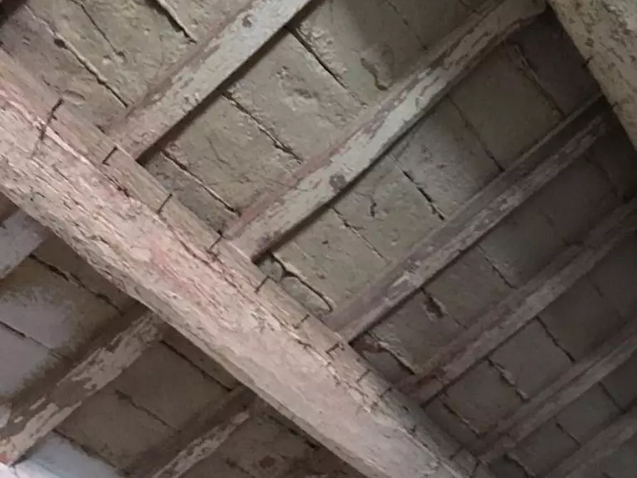 Immagine 24 di Casa indipendente in vendita  in Via Adige a Ravenna