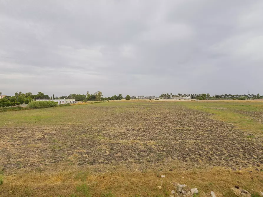 Immagine 23 di Villa in vendita  in VIA TRIPOLI a San Donaci