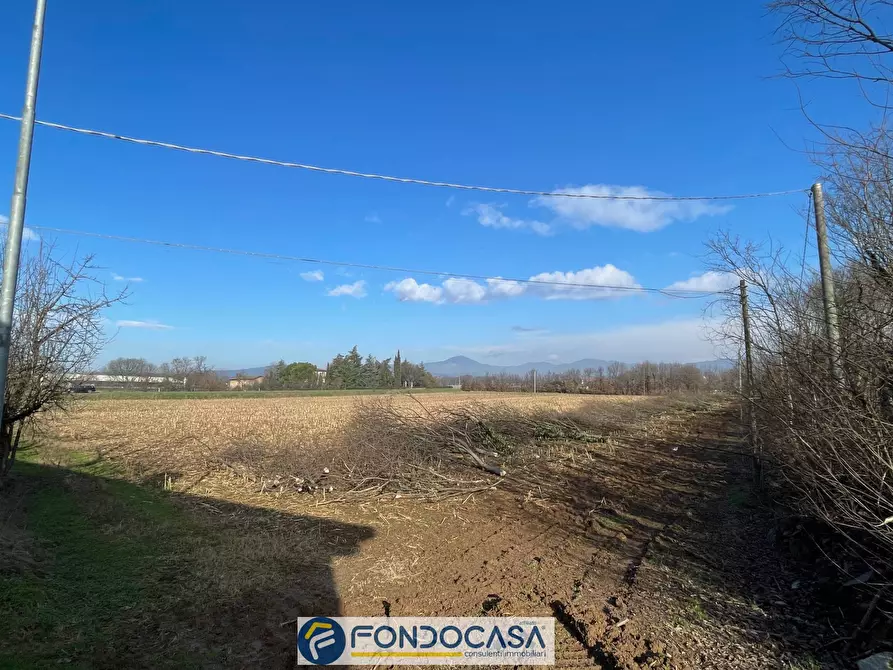 Immagine 1 di Terreno agricolo in vendita  a Passirano