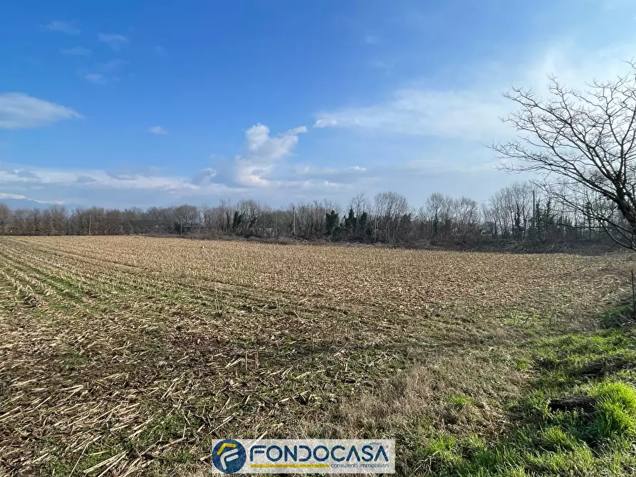 Immagine 4 di Terreno agricolo in vendita  a Passirano