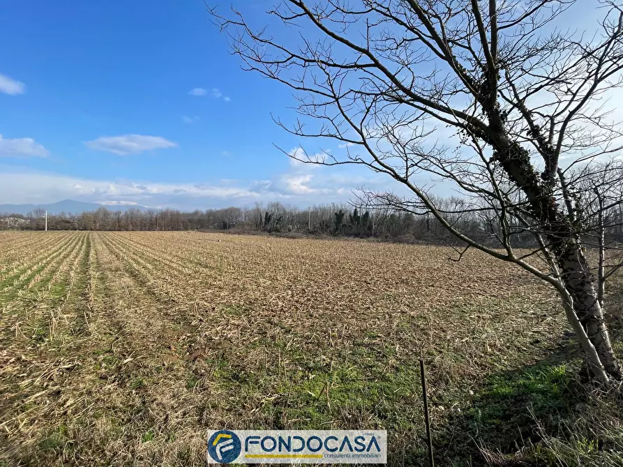 Immagine 5 di Terreno agricolo in vendita  a Passirano