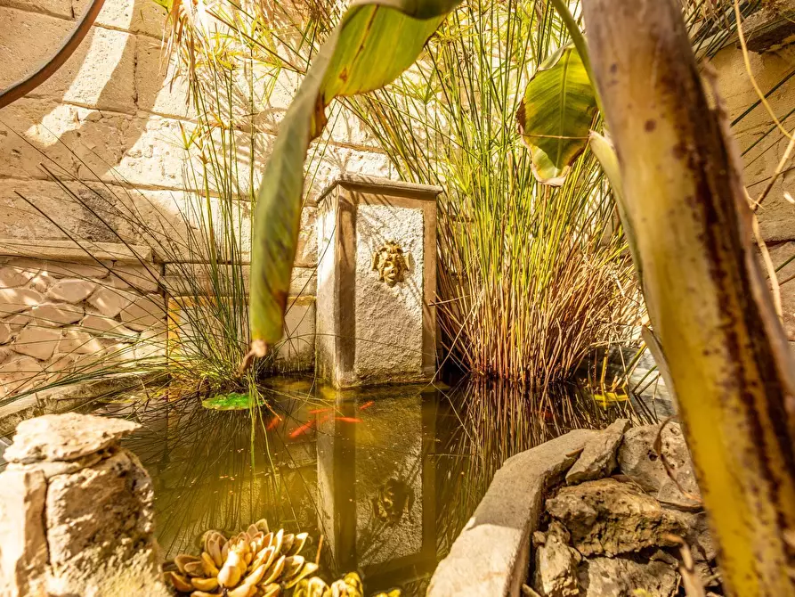 Immagine 18 di Appartamento in vendita  in VIA REGINA GIOVANNA a Manduria