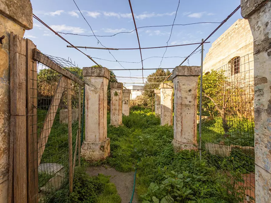 Immagine 10 di Appartamento in vendita  in VIA VITTORIO EMANUELE II a Salice Salentino