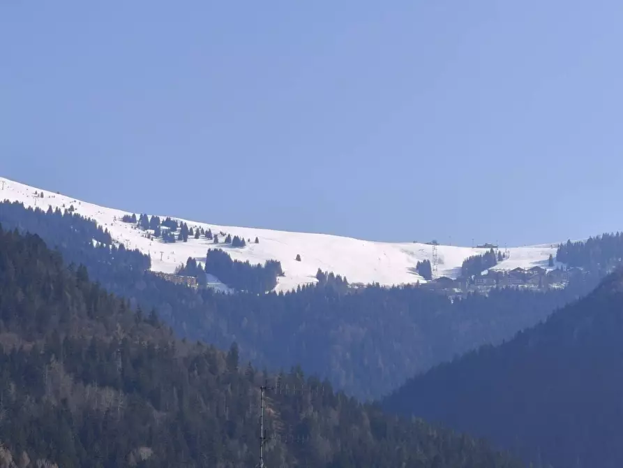 Immagine 16 di Appartamento in affitto  in Via Della Luna a Castione Della Presolana