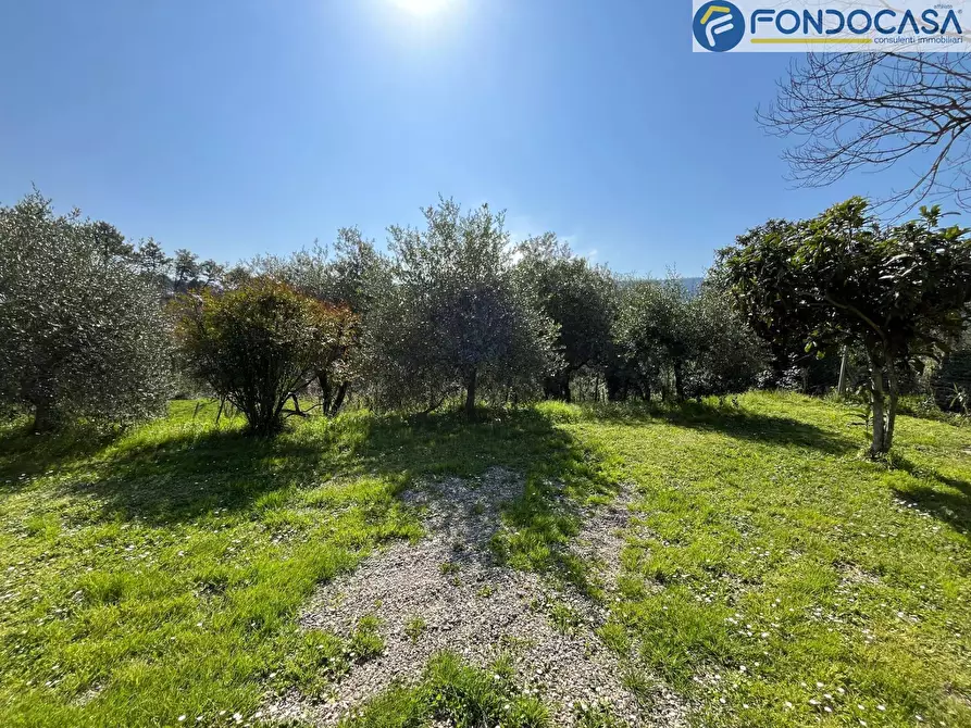 Immagine 28 di Casa semindipendente in vendita  in Via di Rosi a Camaiore