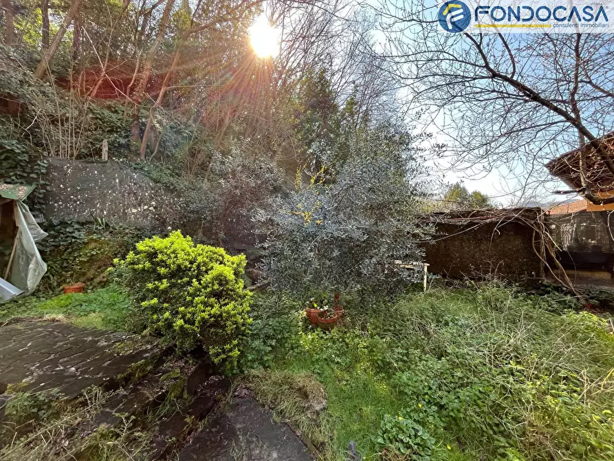 Immagine 25 di Casa semindipendente in vendita  in Via Sterpi a Camaiore