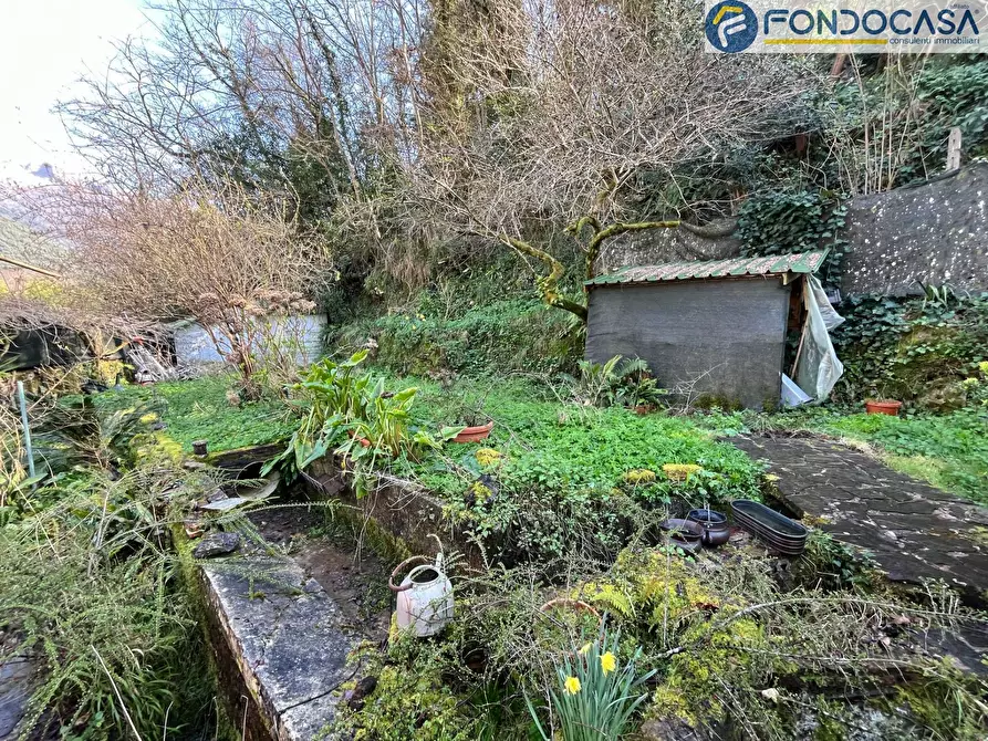 Immagine 26 di Casa semindipendente in vendita  in Via Sterpi a Camaiore