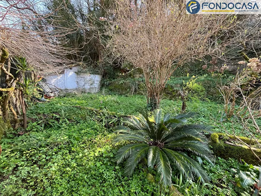 Immagine 27 di Casa semindipendente in vendita  in Via Sterpi a Camaiore