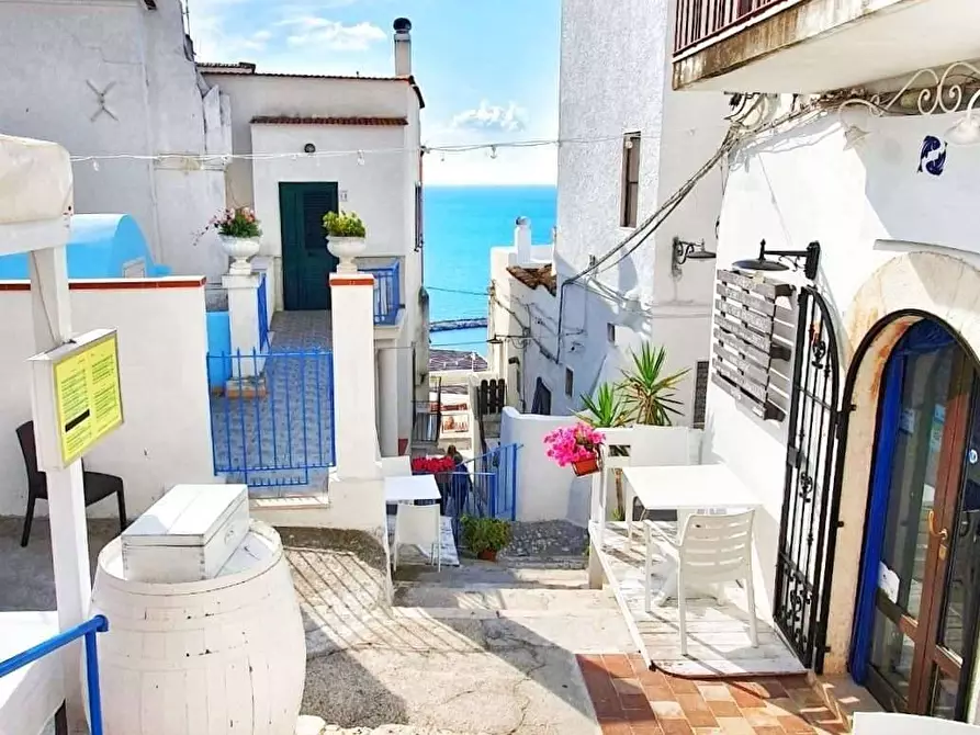 Immagine 2 di Appartamento in vendita  a Peschici