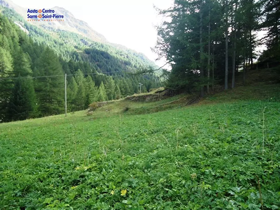 Immagine 5 di Terreno residenziale in vendita  in frazione Gerbelle a Valgrisenche