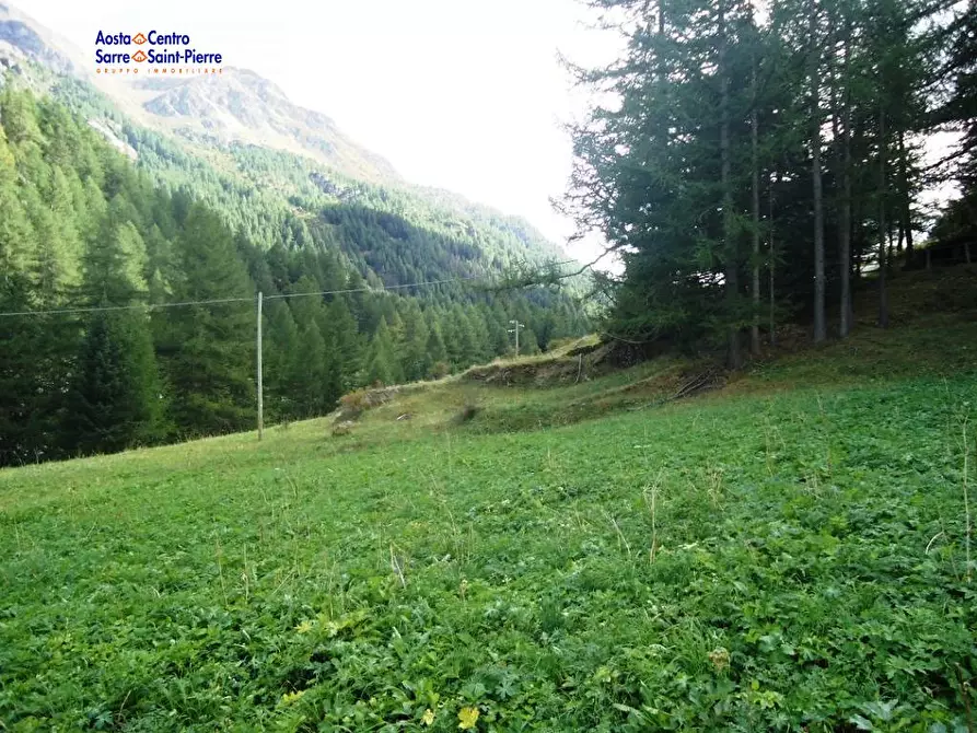 Immagine 6 di Terreno residenziale in vendita  in frazione Gerbelle a Valgrisenche