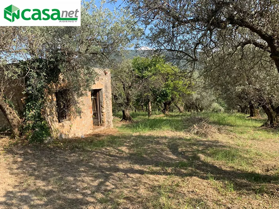 Immagine 2 di Terreno agricolo in vendita  in Via dei Caolini a Marcellina
