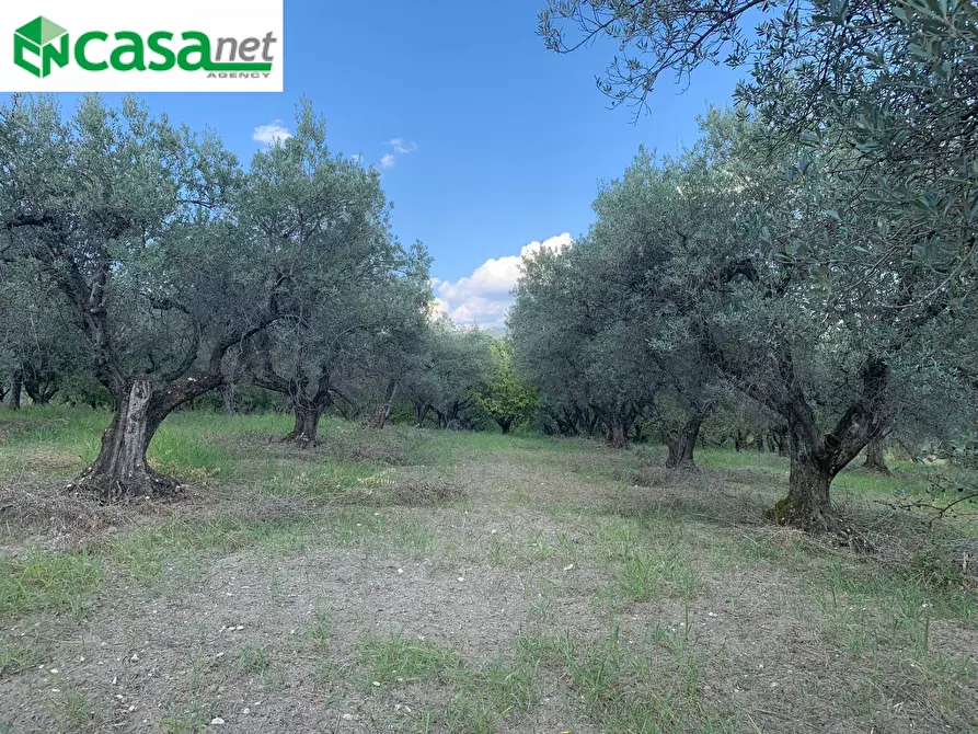 Immagine 3 di Terreno agricolo in vendita  in Via dei Caolini a Marcellina