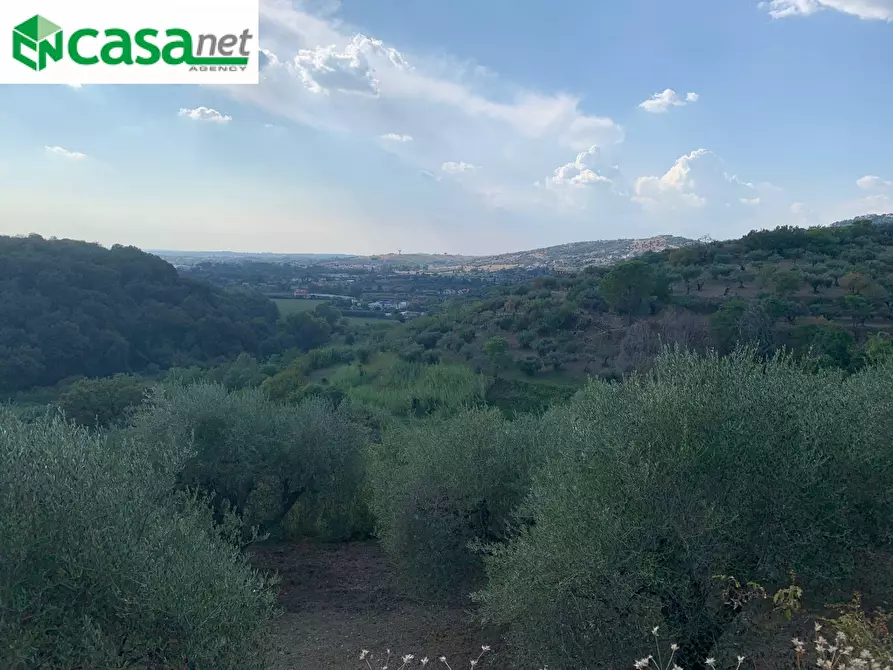 Immagine 4 di Terreno agricolo in vendita  in Via dei Caolini a Marcellina