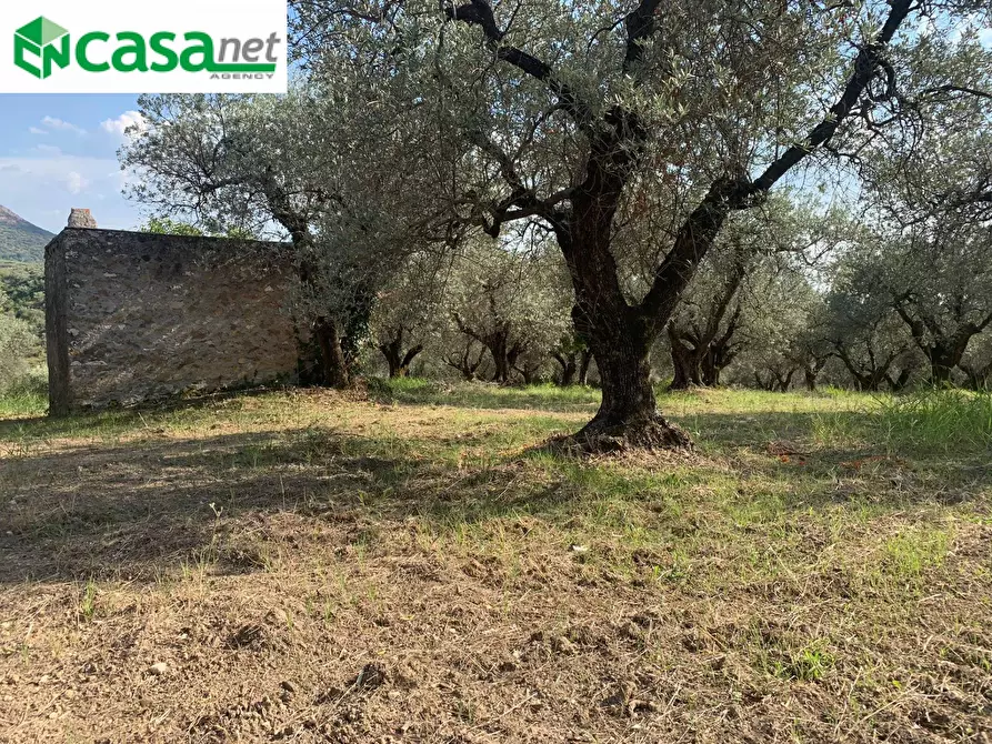 Immagine 5 di Terreno agricolo in vendita  in Via dei Caolini a Marcellina