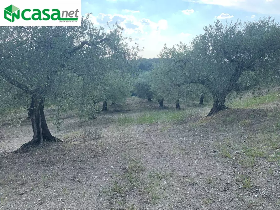 Immagine 8 di Terreno agricolo in vendita  in Via dei Caolini a Marcellina