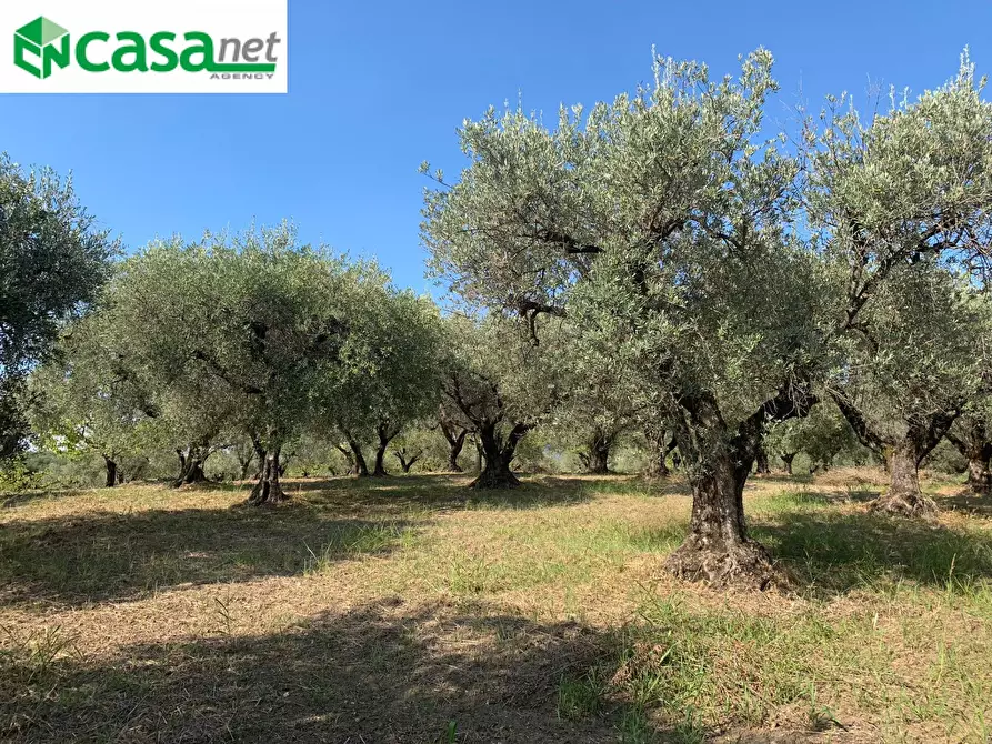 Immagine 9 di Terreno agricolo in vendita  in Via dei Caolini a Marcellina