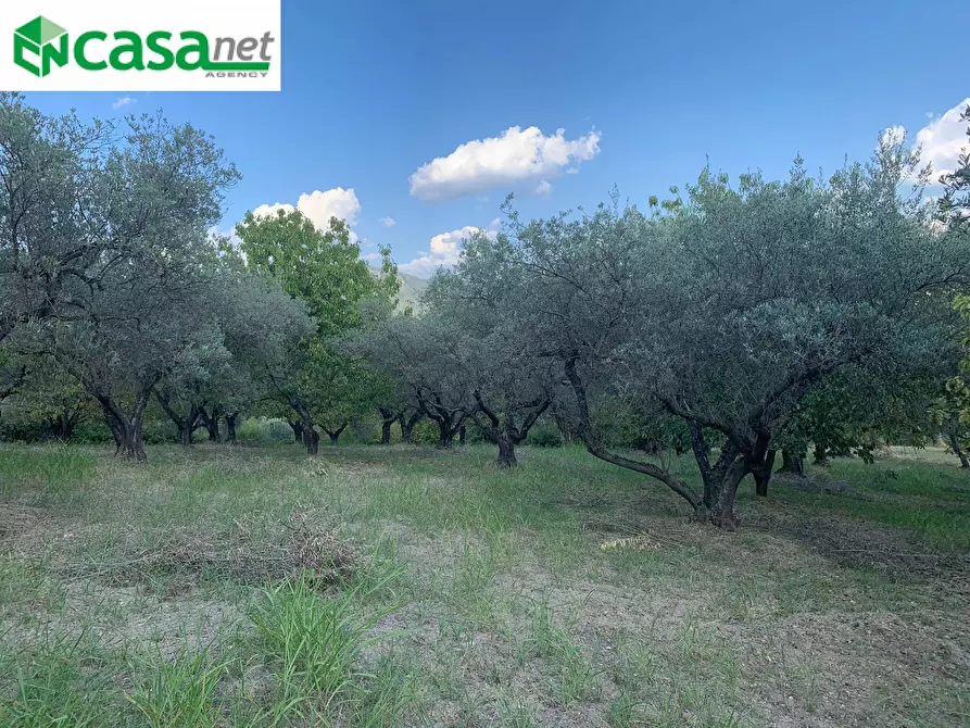 Immagine 12 di Terreno agricolo in vendita  in Via dei Caolini a Marcellina