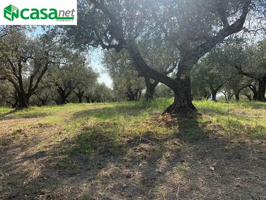 Immagine 14 di Terreno agricolo in vendita  in Via dei Caolini a Marcellina