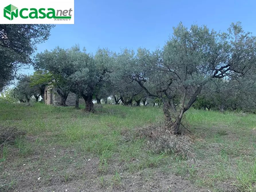 Immagine 15 di Terreno agricolo in vendita  in Via dei Caolini a Marcellina