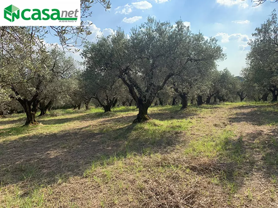 Immagine 16 di Terreno agricolo in vendita  in Via dei Caolini a Marcellina