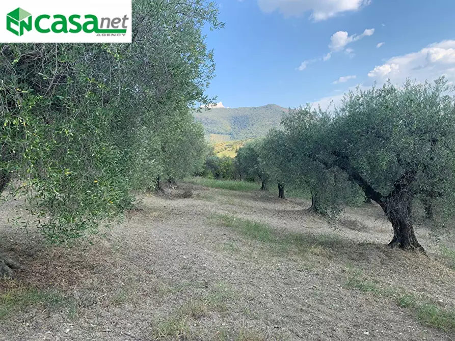 Immagine 17 di Terreno agricolo in vendita  in Via dei Caolini a Marcellina