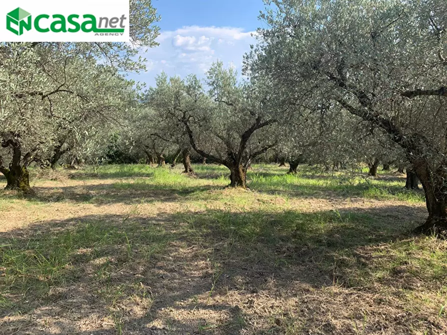 Immagine 19 di Terreno agricolo in vendita  in Via dei Caolini a Marcellina