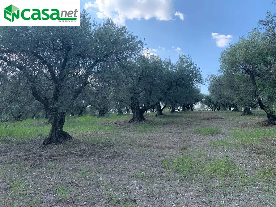 Immagine 20 di Terreno agricolo in vendita  in Via dei Caolini a Marcellina