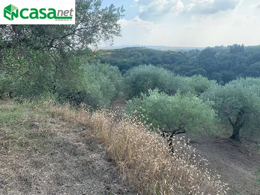 Immagine 21 di Terreno agricolo in vendita  in Via dei Caolini a Marcellina