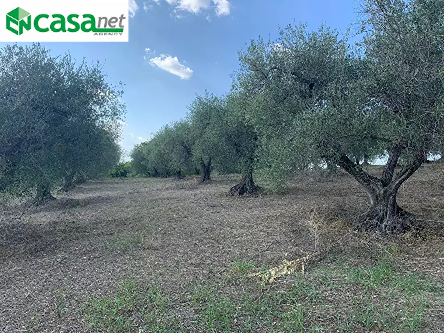 Immagine 22 di Terreno agricolo in vendita  in Via dei Caolini a Marcellina